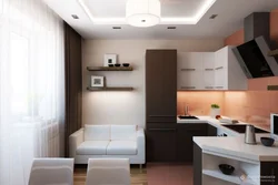 Kitchens in studio design 30 sq m