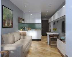 Kitchens in studio design 30 sq m