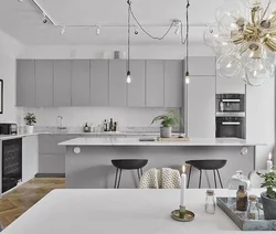 Kitchens In Gray Style Photo