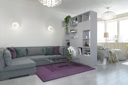 Photo Design Of A Living Room Combined With A Bedroom