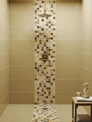 Bathroom Tile Combinations Photo Design
