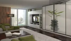 Built-in wardrobes in the living room in a modern interior