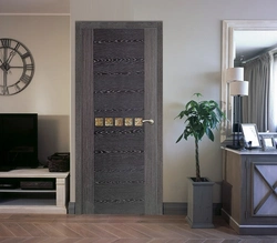 Living room design with gray doors