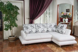 Small sofas in the living room photo