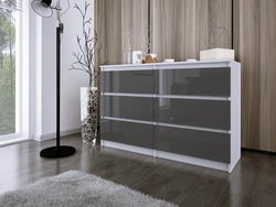 Modern chests of drawers for the living room in the interior photo