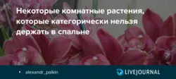 Аксҳои гулҳо, ки набояд дар хоб ҷойгир карда шаванд