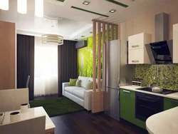 Studio apartment design with kitchen 20 sq m