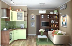 Studio apartment design with kitchen 20 sq m