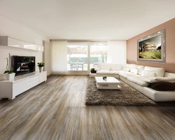 Flooring Options In The Living Room Photo