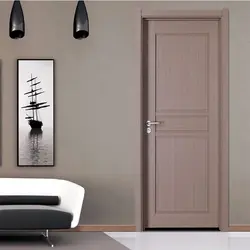 Modern design living room doors