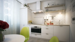 Кухни Без Верхних Шкафов С Пеналом И Холодильником Фото