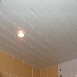 Plastic ceiling for bathtub design photo