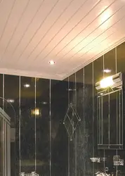Plastic ceiling for bathtub design photo