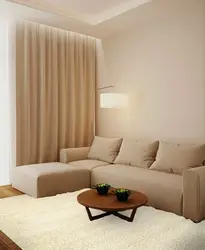 Beige sofa in the living room interior