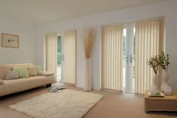 Modern Blinds For The Living Room Photo
