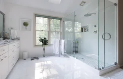 Bath design with shower and toilet with window