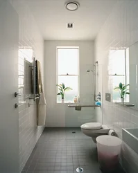 Bath design with shower and toilet with window