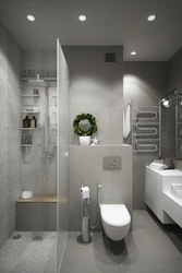 Bathroom design 5 square meters with shower and toilet