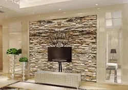 Stone in living room interior decoration