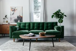 Dark green sofa in the living room photo