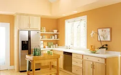 What Color To Paint The Kitchen In The House Photo