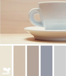 What colors goes with cappuccino in the kitchen interior