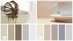 What Colors Goes With Cappuccino In The Kitchen Interior