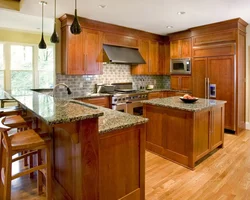 Kitchen in your home photos and selection