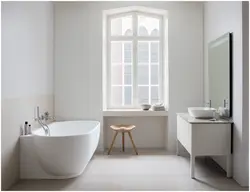 Free-standing bathtubs in the interior