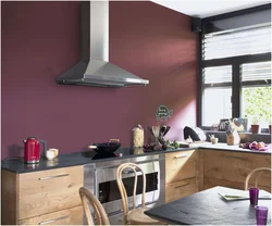 Modern wall colors in the kitchen photo