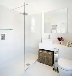 Bath And Shower Combined With Bathtub Photo