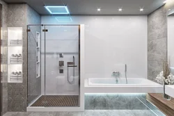 Bath And Shower Combined With Bathtub Photo
