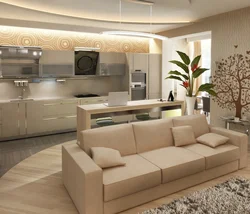 Living room and kitchen together interior design