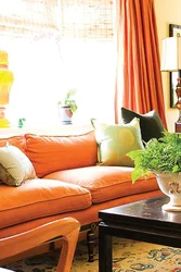 What color goes with terracotta color in the living room interior