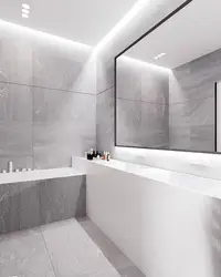 Bath Design In White And Gray Photo