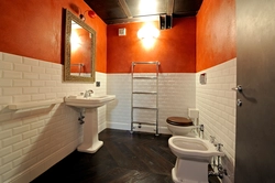 Bathroom interior loft photo
