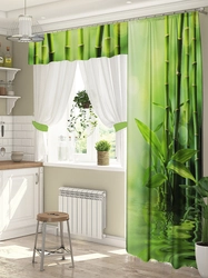 Light green curtains in the kitchen interior