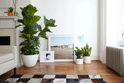 Outdoor Flowers In The Living Room Interior