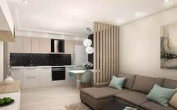 Kitchen Design Living Room 24M2 With One Window