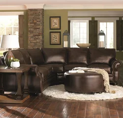 Қонақ бөлмесінің интерьеріндегі түс комбинациясы: қоңыр диван