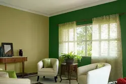 Зеленые обои в гостиной фото интерьеры