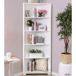 Corner shelves in the living room photo