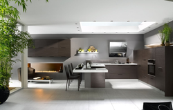 Kitchen living room interior in high style