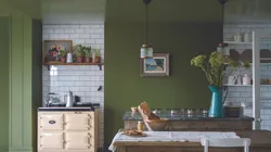 Green Walls In The Kitchen Interior Photo