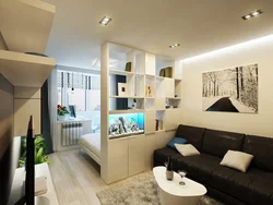 Living Room And Sleeping Area In A One-Room Apartment Photo
