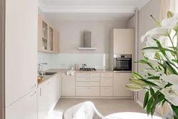 Small beige kitchens photo