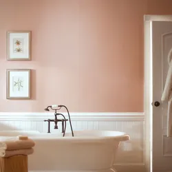 Color to paint the bathroom photo
