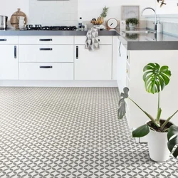 Modern linoleum in the kitchen interior