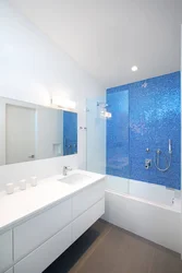 White And Blue Bathtub Design Photo