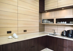 Kitchen Interior With MDF Panels Photo Design